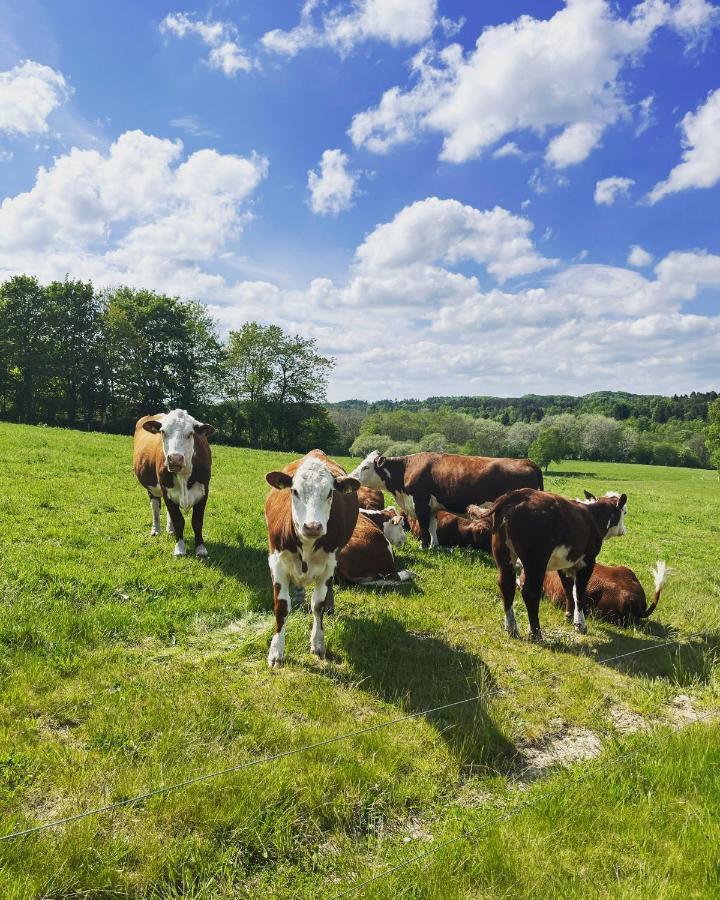 Gaestfri Overnatning Gjern Buitenkant foto